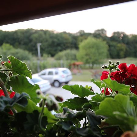 Panorama Cehu Silvaniei Zewnętrze zdjęcie