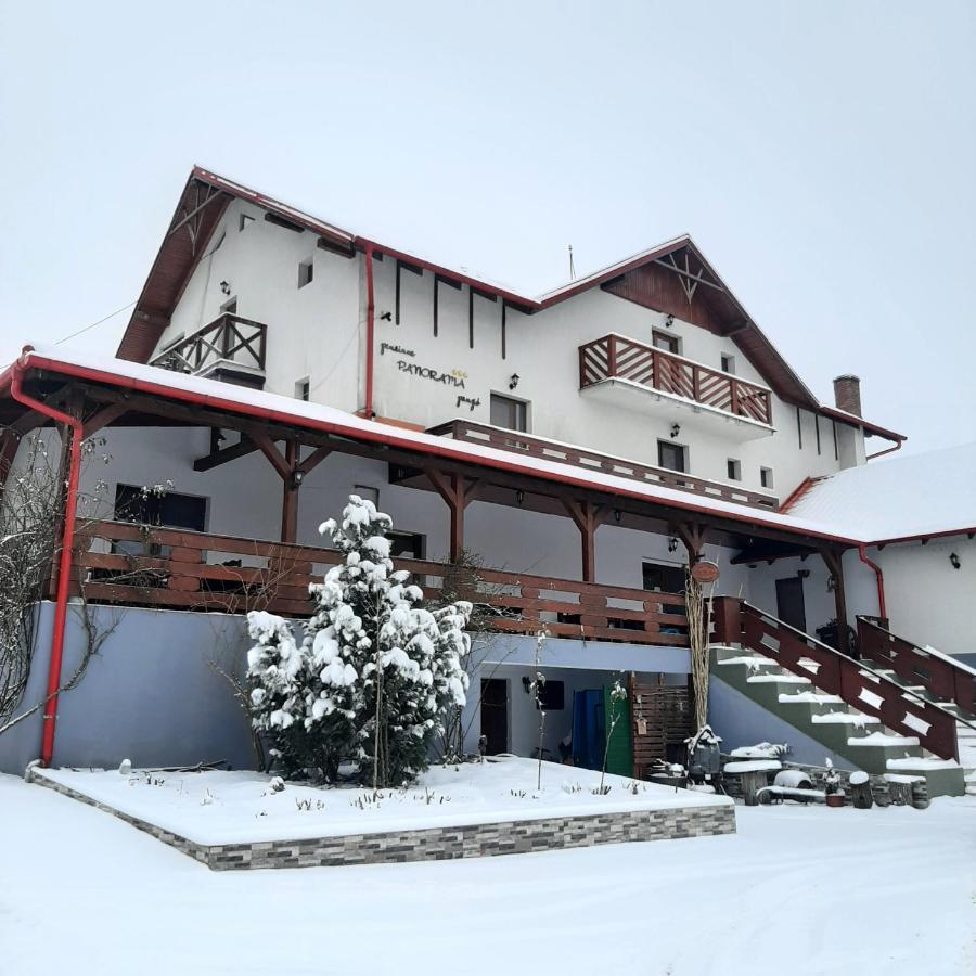 Panorama Cehu Silvaniei Zewnętrze zdjęcie