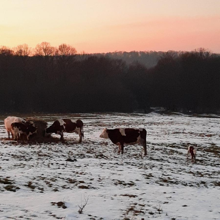 Panorama Cehu Silvaniei Zewnętrze zdjęcie