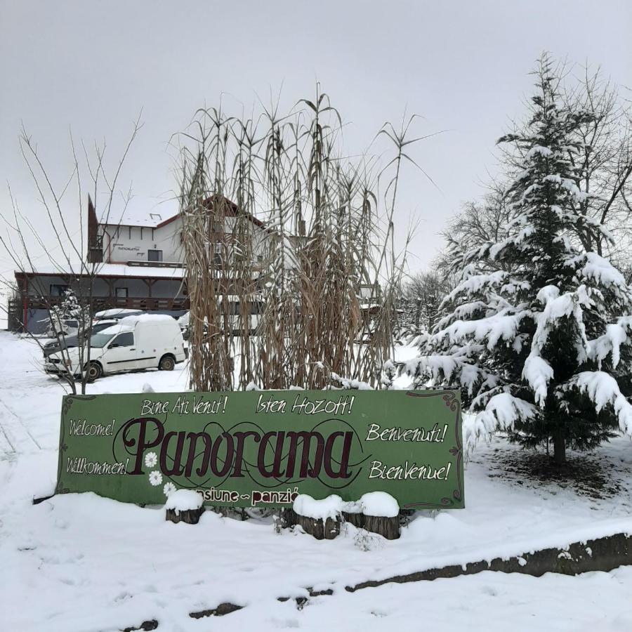 Panorama Cehu Silvaniei Zewnętrze zdjęcie