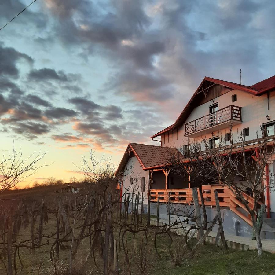 Panorama Cehu Silvaniei Zewnętrze zdjęcie