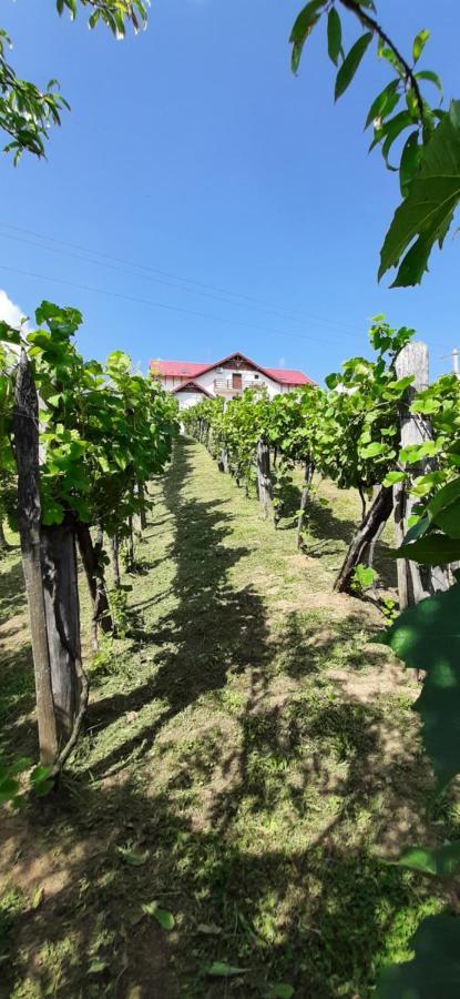Panorama Cehu Silvaniei Zewnętrze zdjęcie