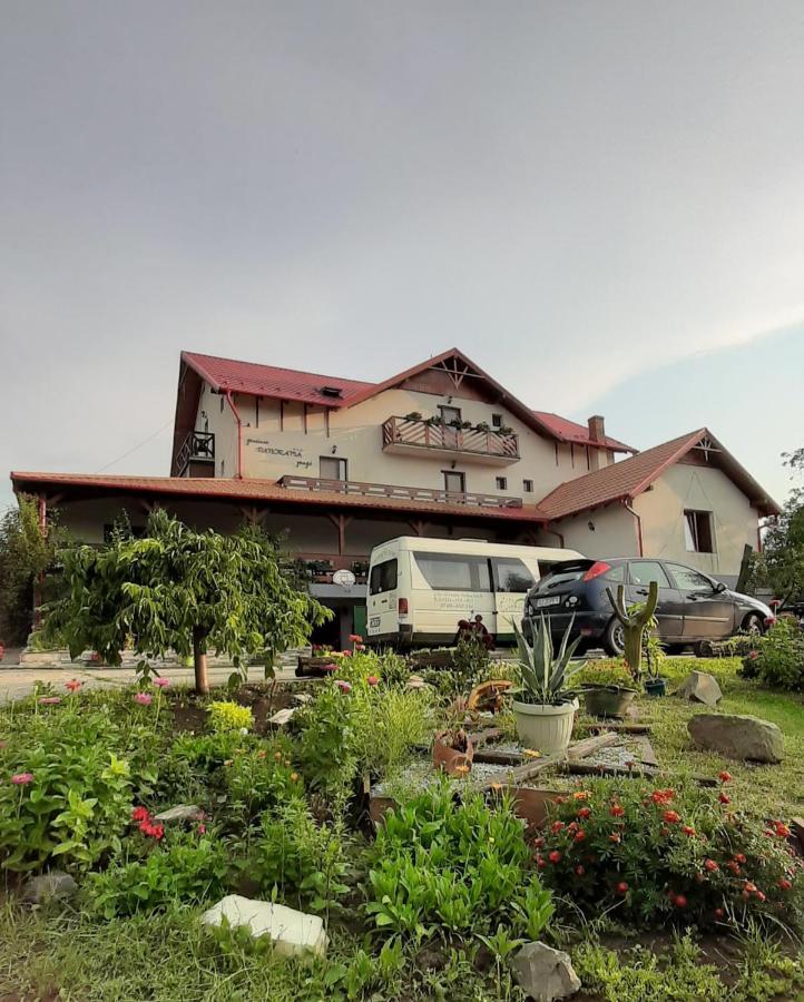 Panorama Cehu Silvaniei Zewnętrze zdjęcie