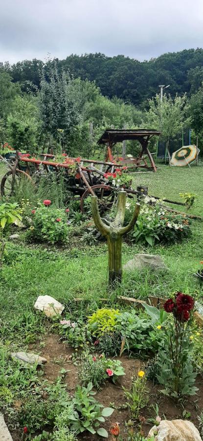 Panorama Cehu Silvaniei Zewnętrze zdjęcie