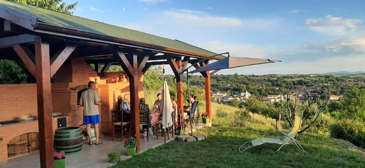 Panorama Cehu Silvaniei Zewnętrze zdjęcie