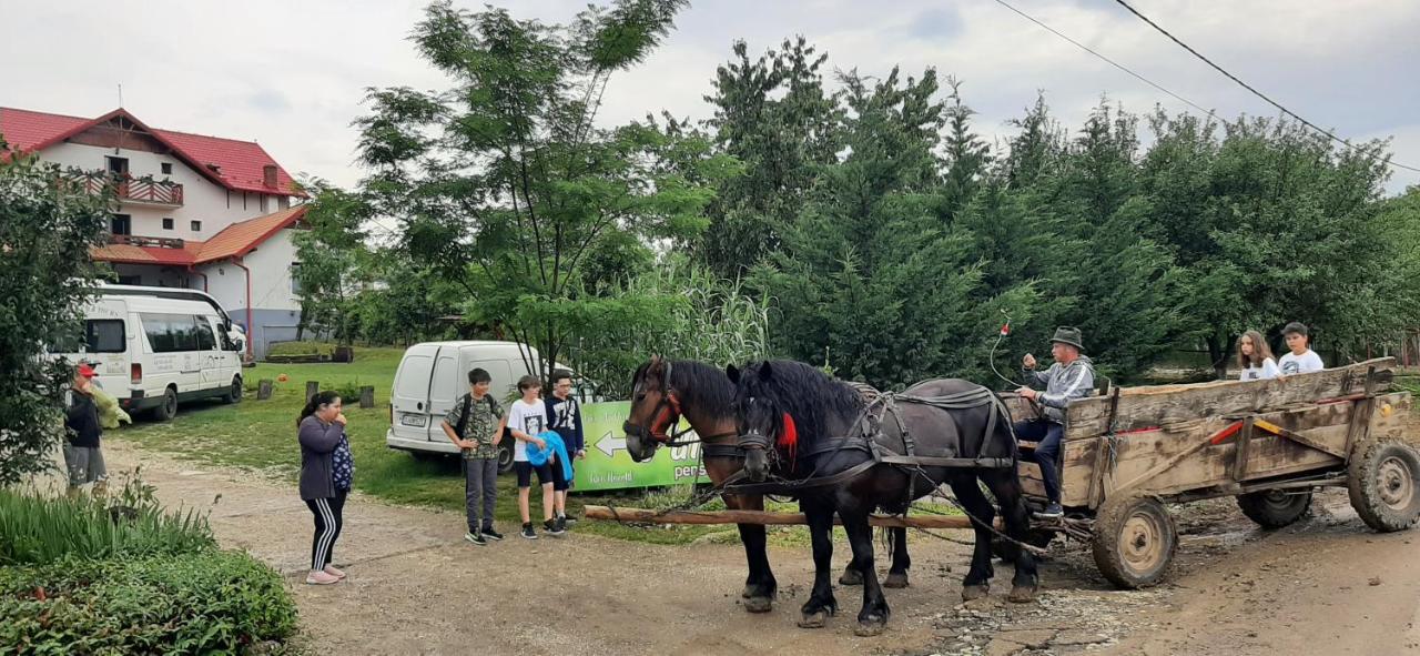 Panorama Cehu Silvaniei Zewnętrze zdjęcie