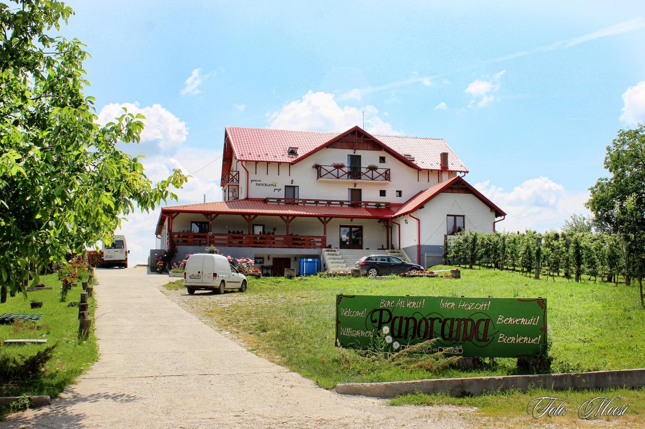 Panorama Cehu Silvaniei Zewnętrze zdjęcie