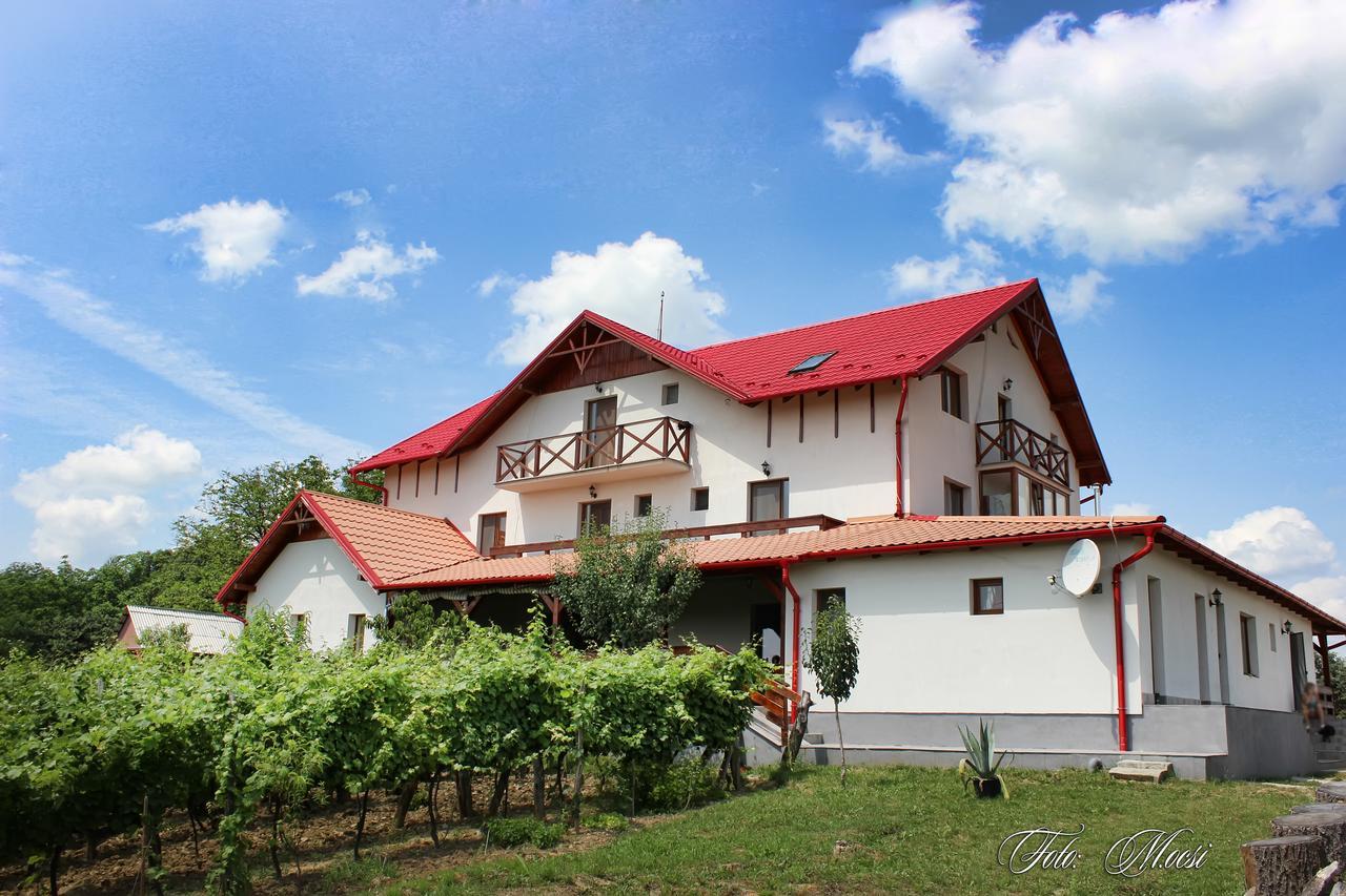 Panorama Cehu Silvaniei Zewnętrze zdjęcie