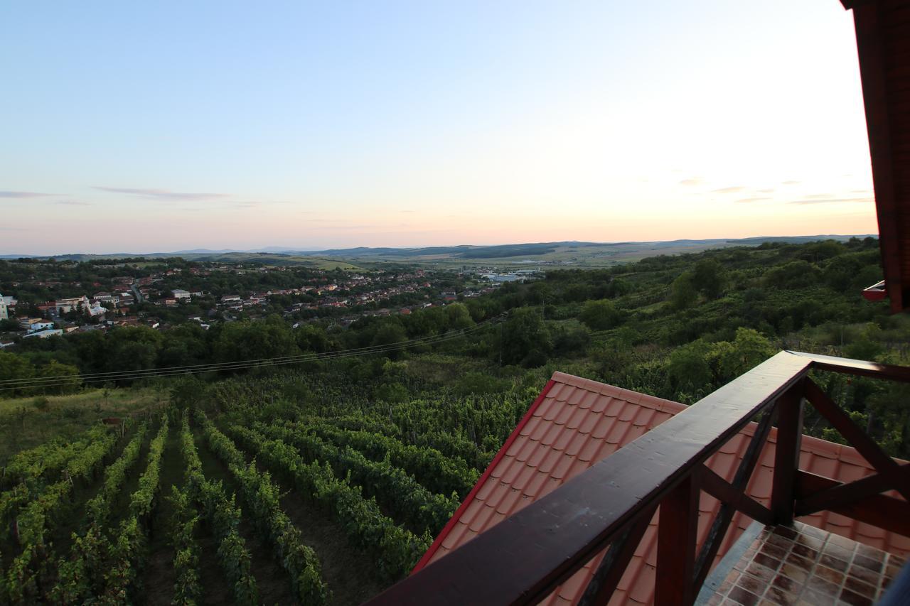 Panorama Cehu Silvaniei Zewnętrze zdjęcie