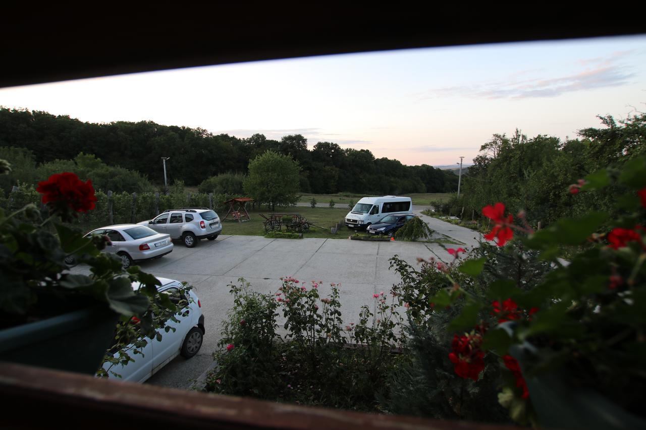 Panorama Cehu Silvaniei Zewnętrze zdjęcie
