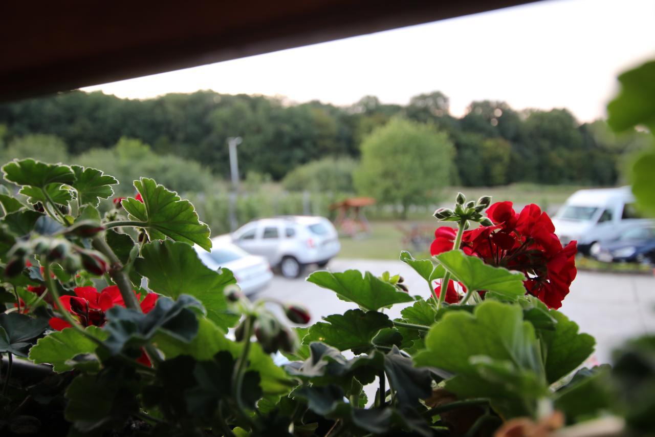 Panorama Cehu Silvaniei Zewnętrze zdjęcie